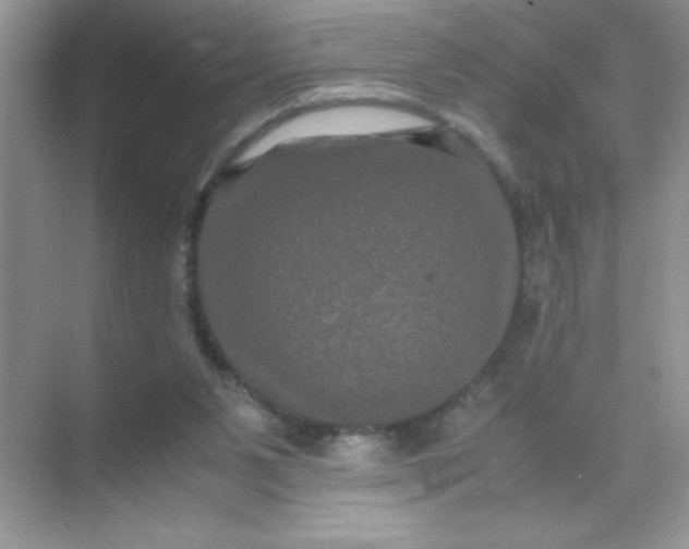 X0000071900111200607212026