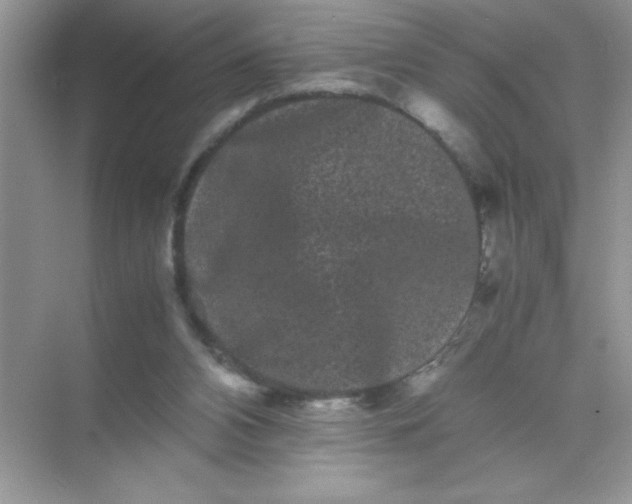 X0000071900112200607212026