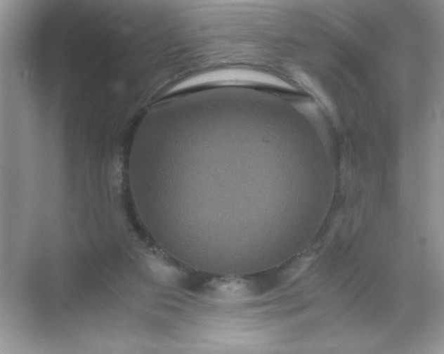 X0000071900113200607212026