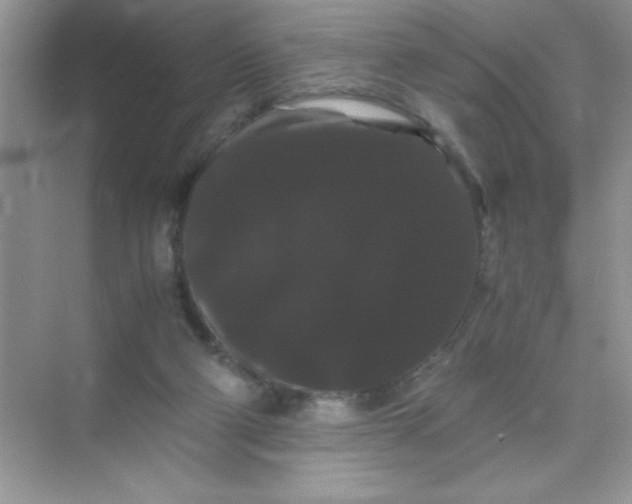 X0000071900114200607212026