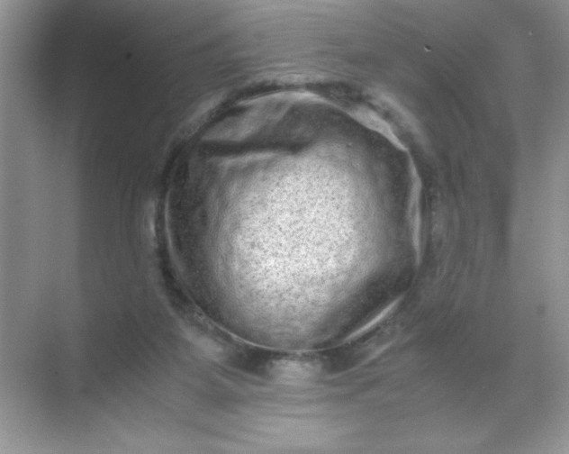 X0000071900115200607212026