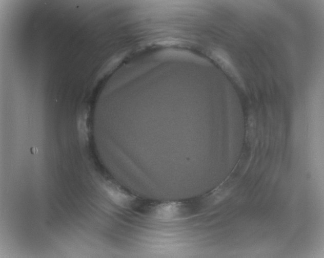 X0000071900116200607212026