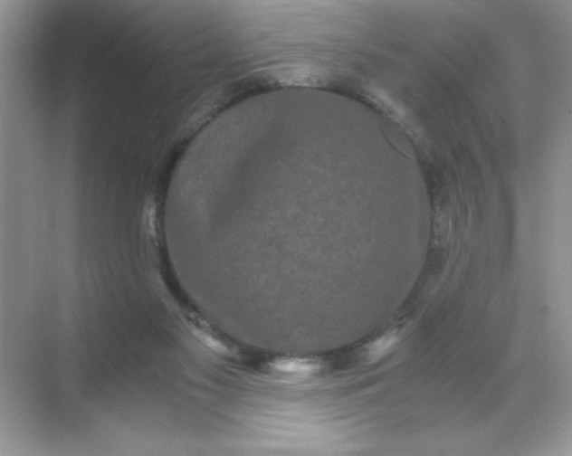 X0000071900117200607212026