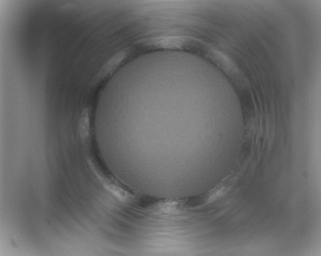 X0000071900120200607212026