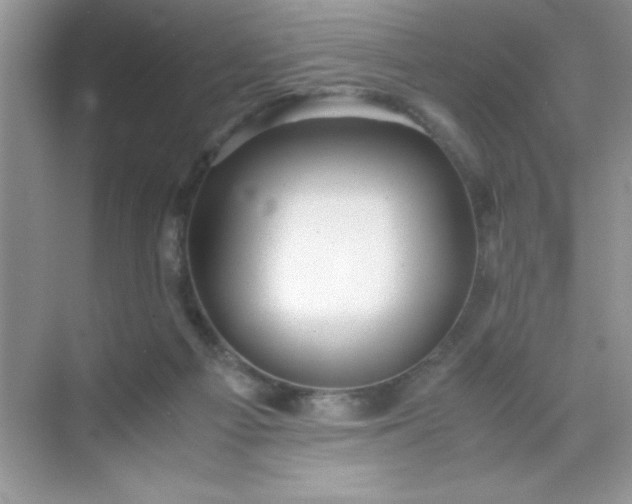 X0000071900121200607212026