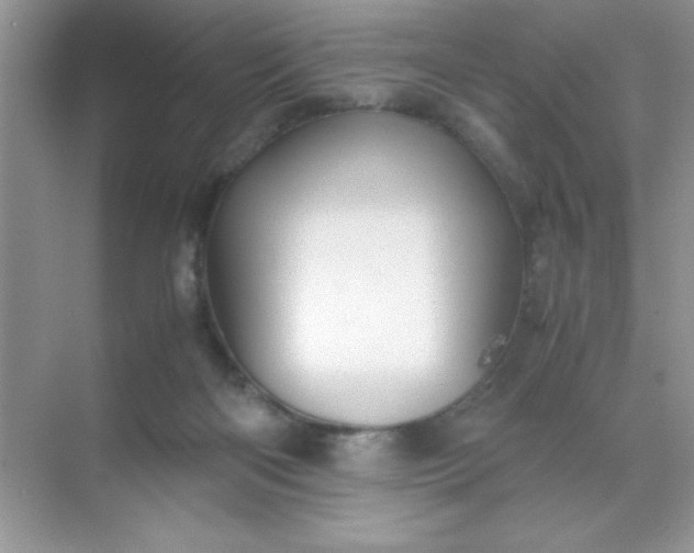 X0000071900122200607212026