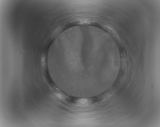 X0000071900123200607212026