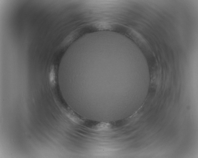 X0000071900124200607212026