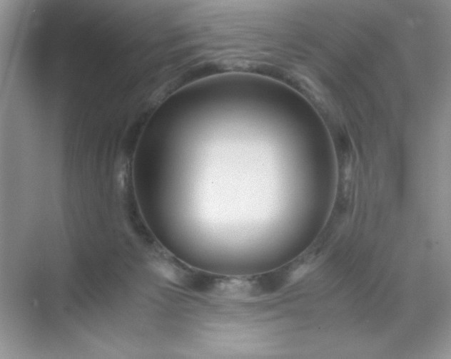 X0000071900125200607212026