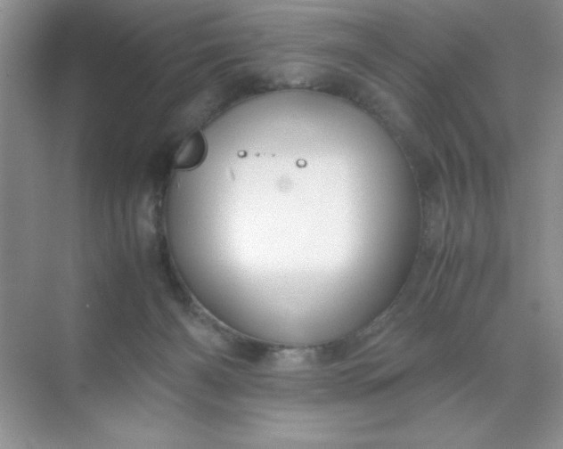 X0000071900126200607212026