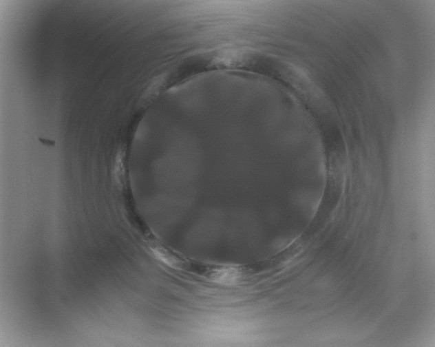 X0000071900127200607212026