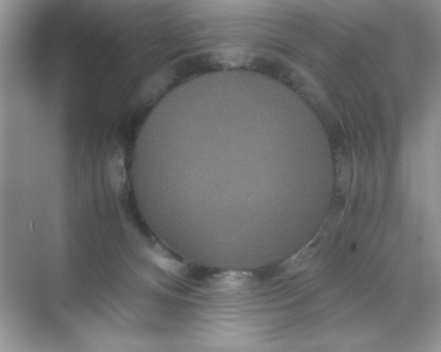 X0000071900128200607212026