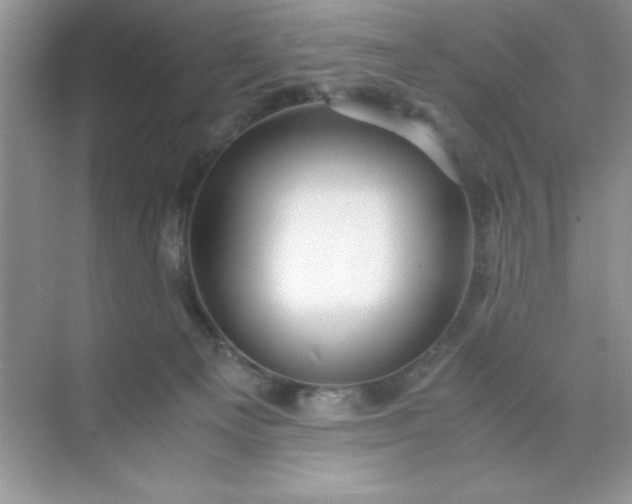 X0000071900129200607212026