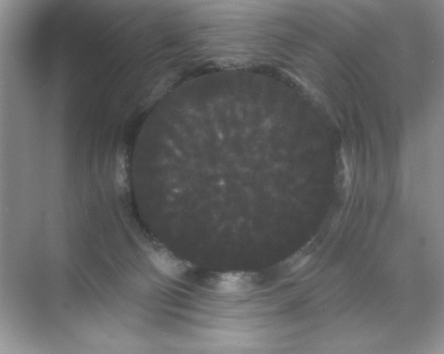 X0000071900130200607212026