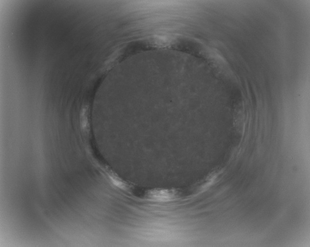 X0000071900131200607212026