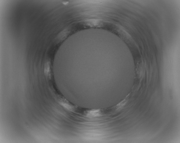 X0000071900132200607212026