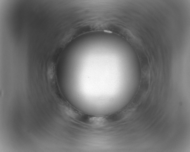 X0000071900133200607212026