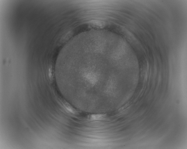 X0000071900134200607212026