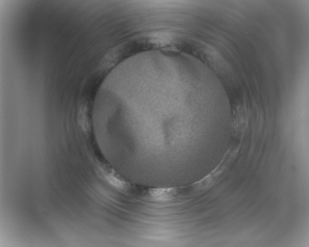 X0000071900136200607212026