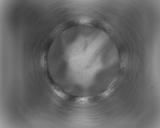 X0000071900140200607212026