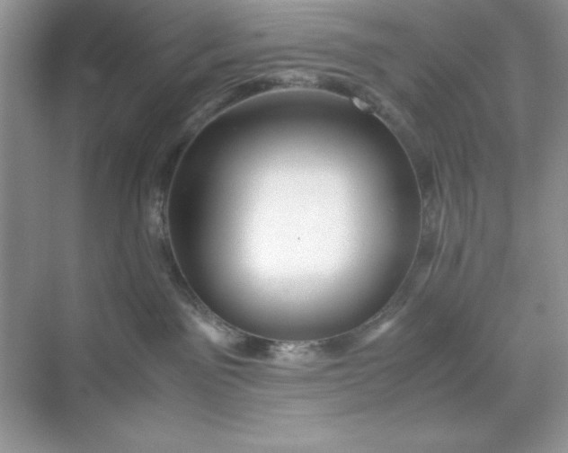 X0000071900141200607212026