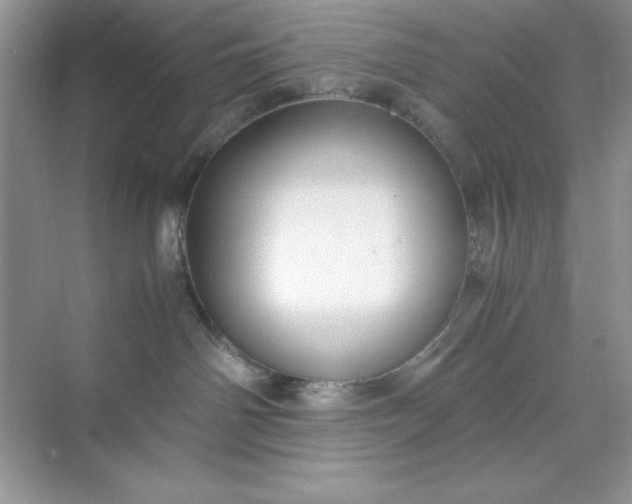 X0000071900142200607212026