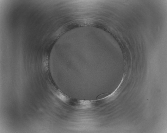 X0000071900144200607212026