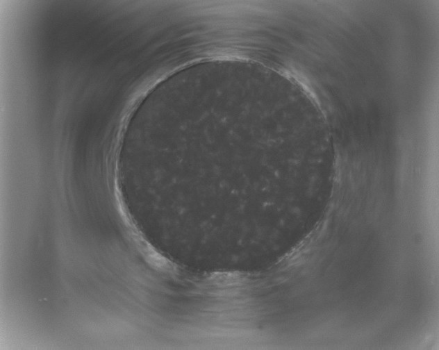 X0000071900145200607212025