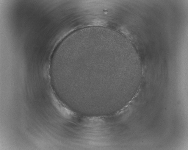 X0000071900146200607212025