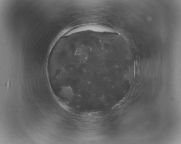 X0000071900147200607212025