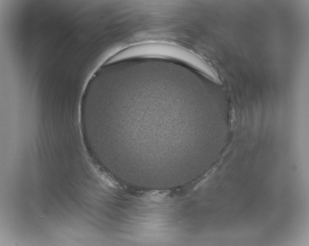 X0000071900148200607212025