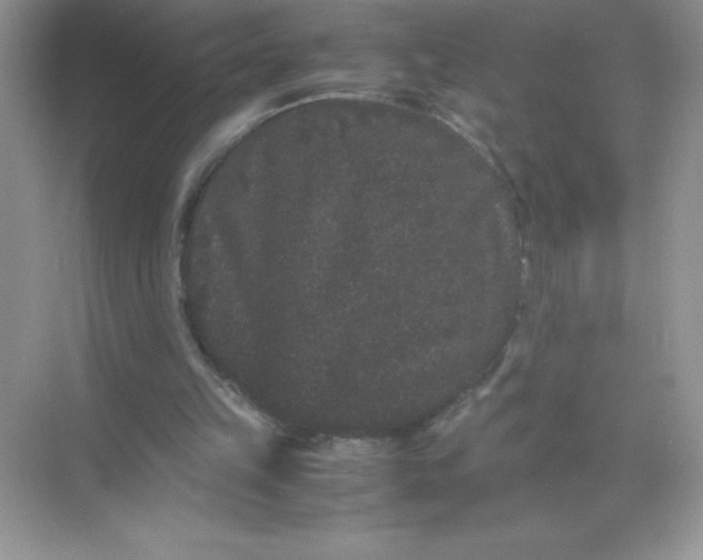 X0000071900149200607212025