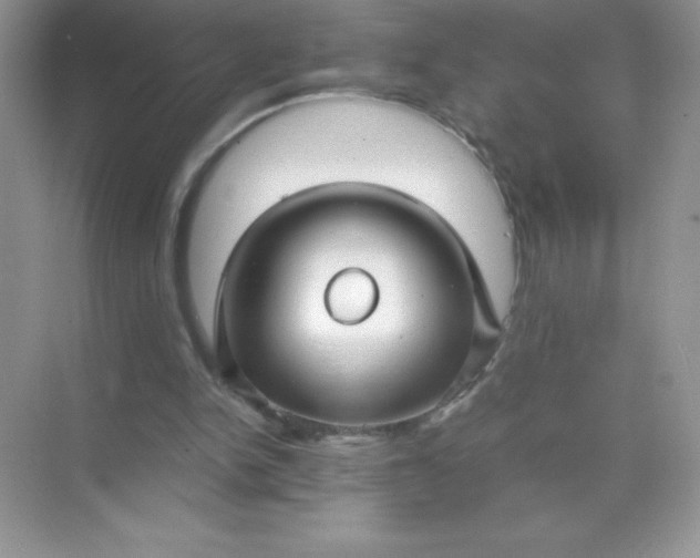 X0000071900150200607212025