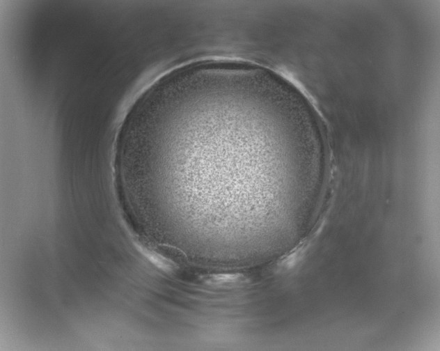 X0000071900151200607212025