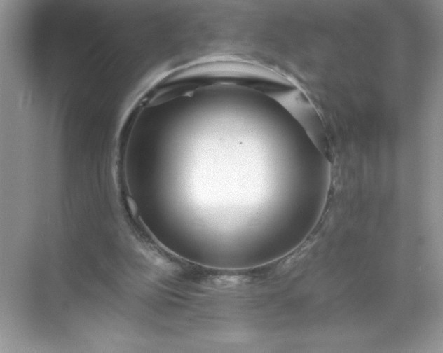 X0000071900152200607212025