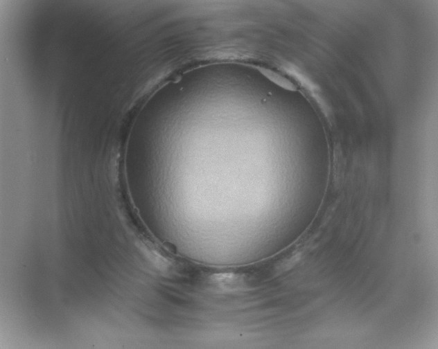 X0000071900153200607212025