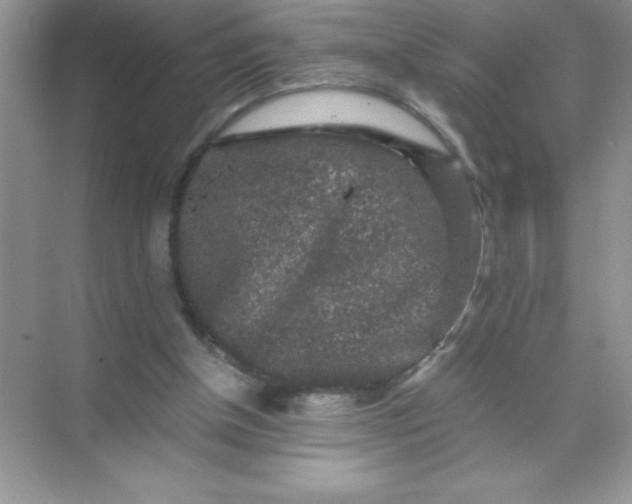 X0000071900154200607212025