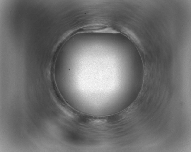 X0000071900155200607212025