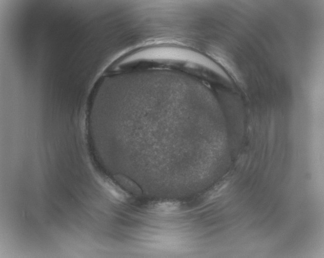 X0000071900156200607212025