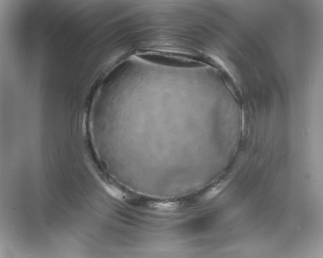 X0000071900157200607212025