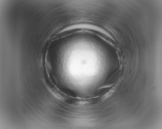 X0000071900158200607212025