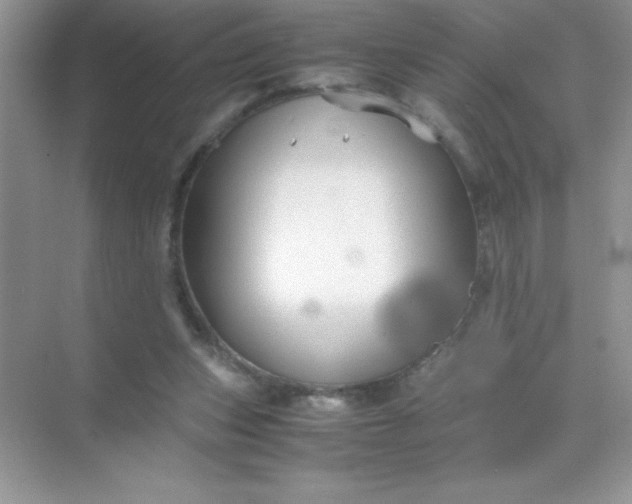 X0000071900159200607212025