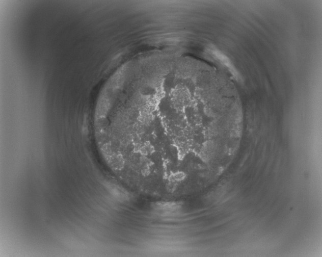 X0000071900161200607212025