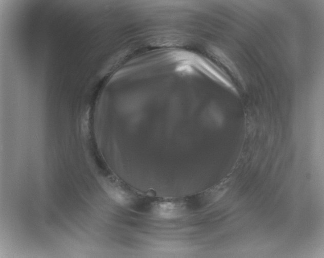 X0000071900163200607212025