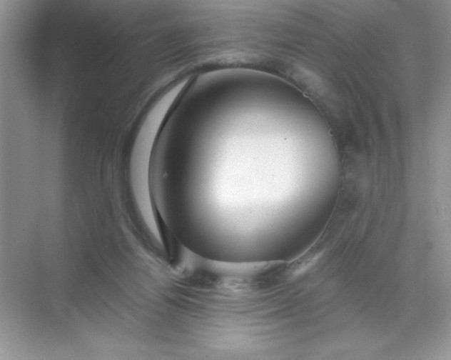 X0000071900164200607212025