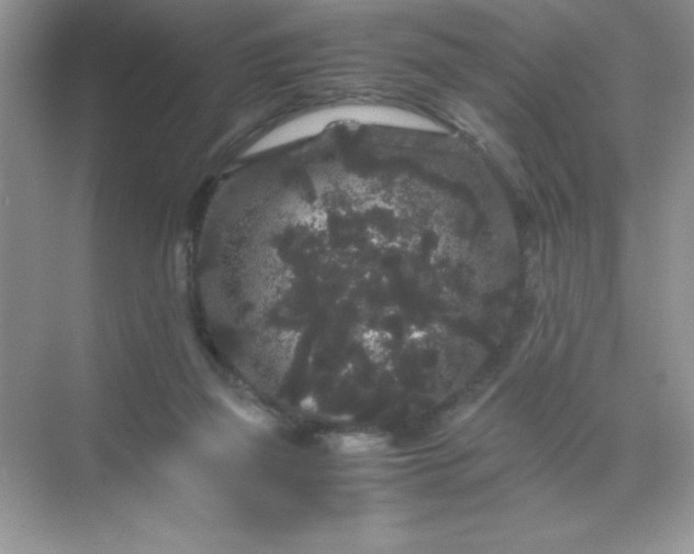 X0000071900165200607212025