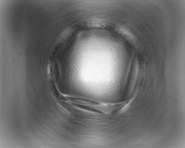 X0000071900166200607212025