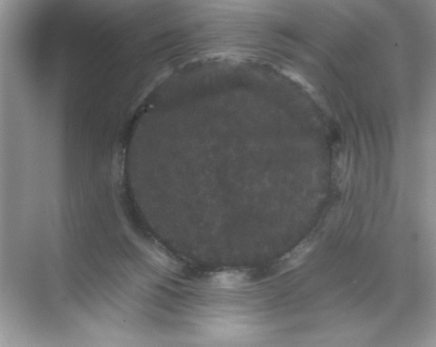 X0000071900168200607212026