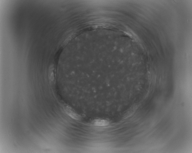 X0000071900169200607212026