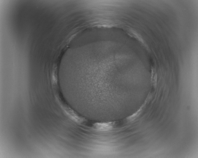 X0000071900170200607212026